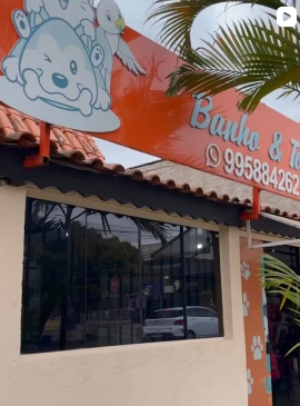 Foto 6 do Instagram Good Pet