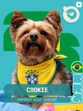 Foto 1 do Instagram Good Pet